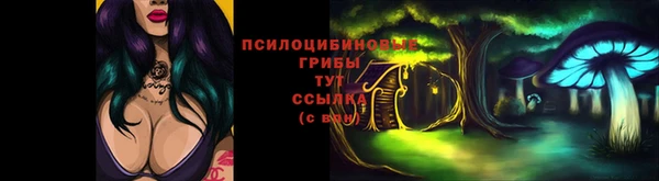 стаф Алексеевка