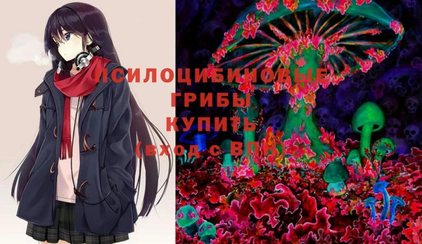 стаф Алексеевка