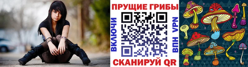 blacksprut зеркало Амурск Псилоцибиновые грибы прущие грибы закладка